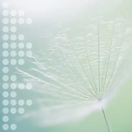 sustainability-wired_ep02_feature-image